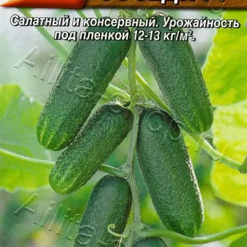 Веселые Соседи