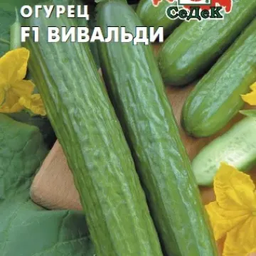 Вивальди