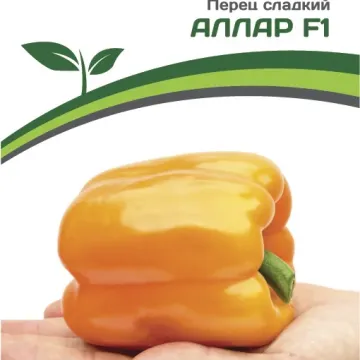 Аллар