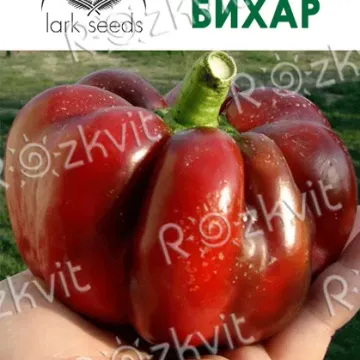 Бихар