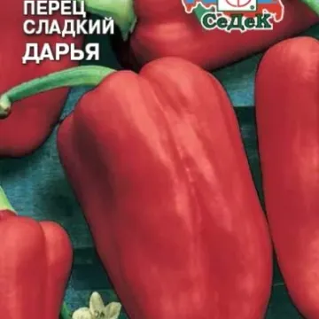 Дарья