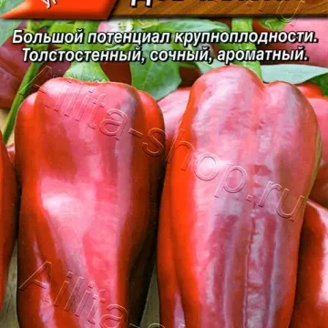 Д'АРТАНЬЯН