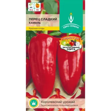 Камиль