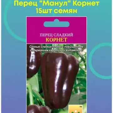 Корнет