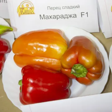 Махараджа