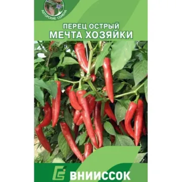 Мечта Хозяйки