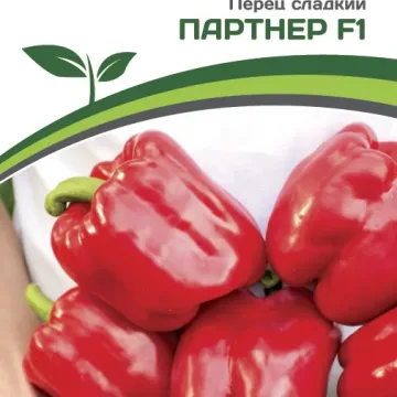 Партнер