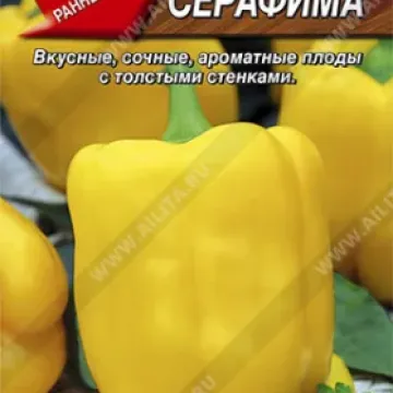 Серафима