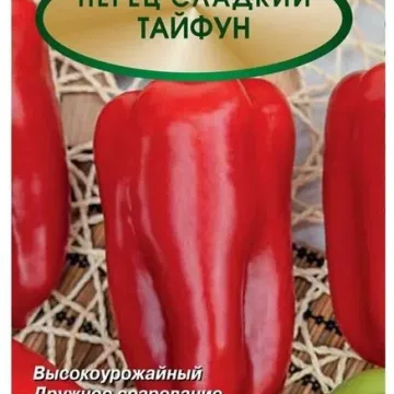 Тайфун