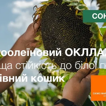 Окллахома