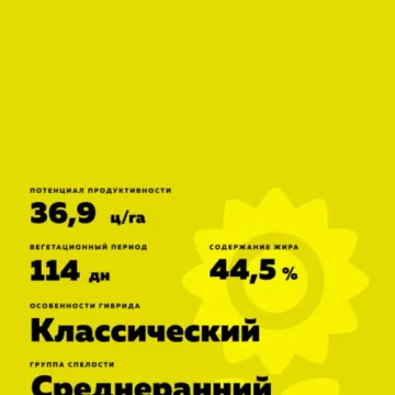 Зеппелин