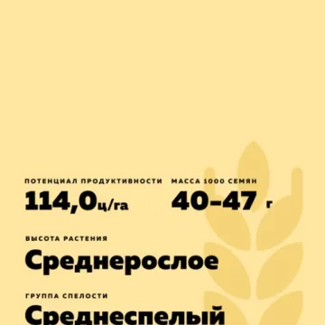 Батя