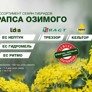 ЕС Нептун