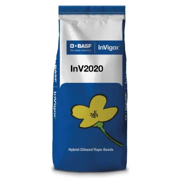 ИНВ 2020