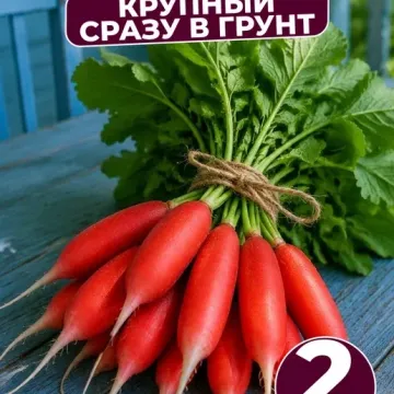Цилиндра