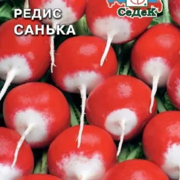 Санька