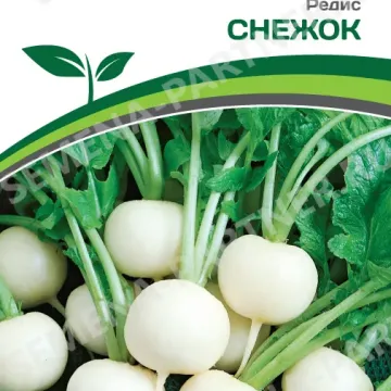 Снежок