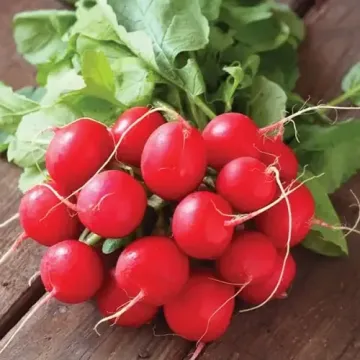 Соната