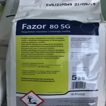 Фазор