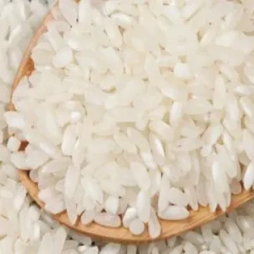 Рапан