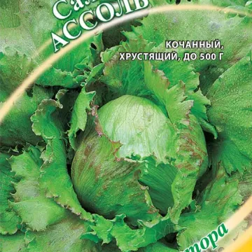 Ассоль