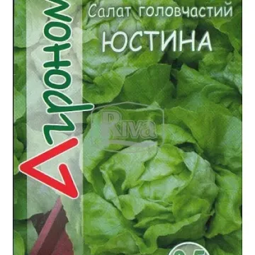 Юстына