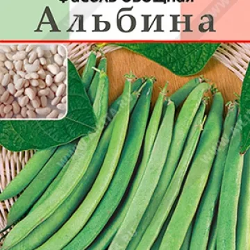 Албин