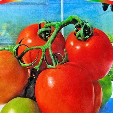 Афалина