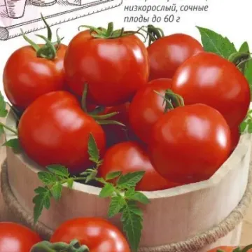 Бетта