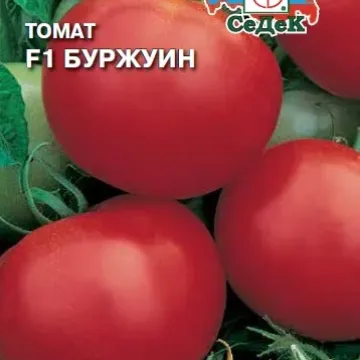 Буржуин