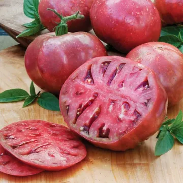 Черокки