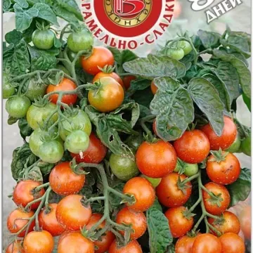 Черринано