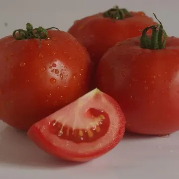 Дайсон