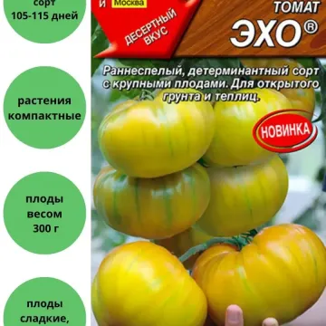 ЭХО