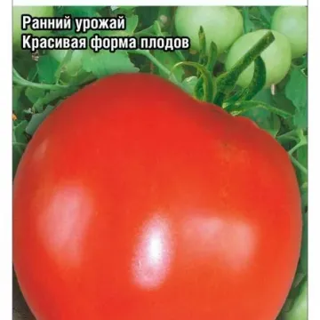 Галина