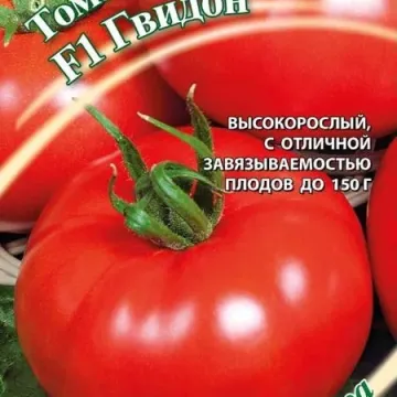 Гвидон