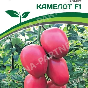 Камелот