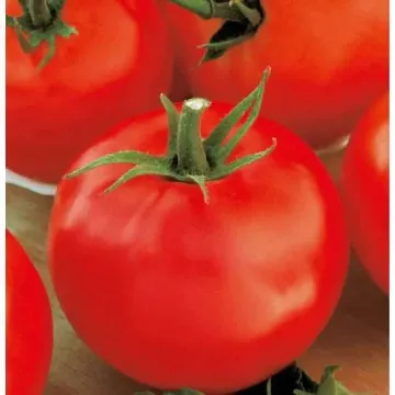 Консул