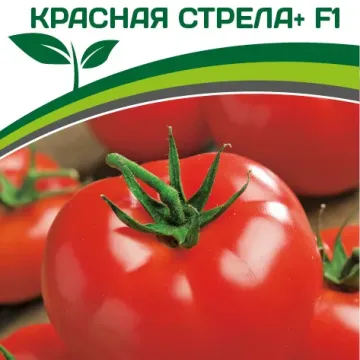 Красная Стрела Плюс