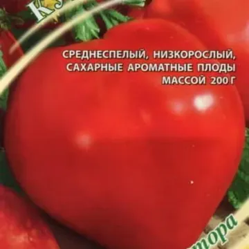 Курносик