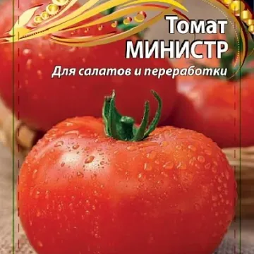 Minister