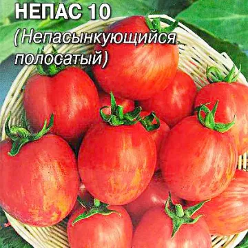 НЕПАС 10