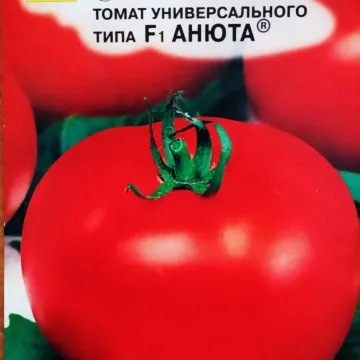 Нюта
