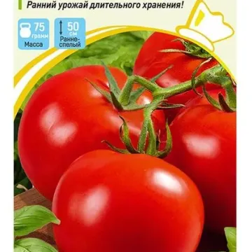 Патрис