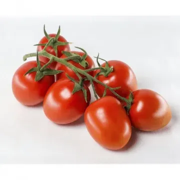 Рева