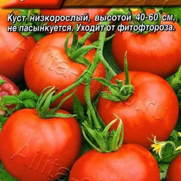 Санька