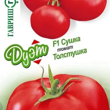 Сушка