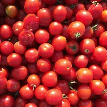 ТО 1435