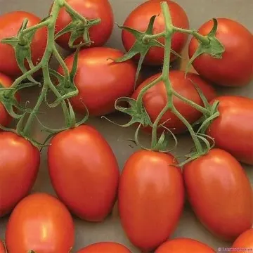 Улдуз