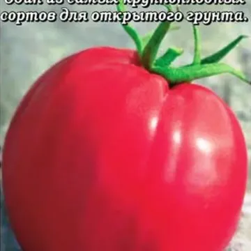Владыка